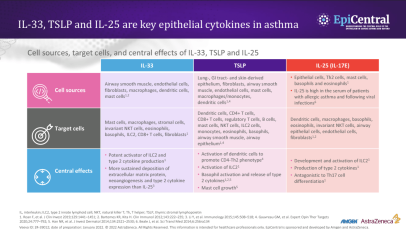 Epithelial cytokines - sources, targets and effects - infographic