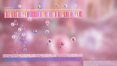 Epithelial cytokines in the inflammatory cascade - 3D animation