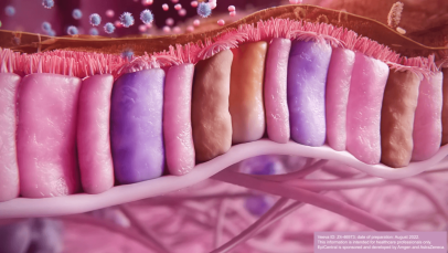 Epithelial damage and the inflammatory response - 3D animation