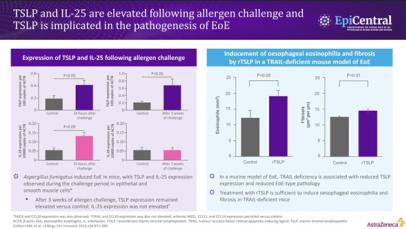 Bar charts showing elevation of TSLP and IL-25 following allergen challenge and implication of TSLP in the pathogenesis of EoE