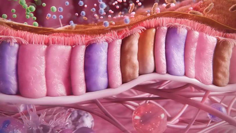 The role of the epithelium and epithelial cytokines in COPD - module teaser image