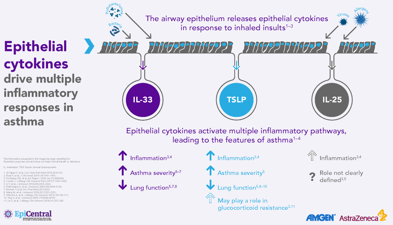 Multiple inflammatory responses in asthma inforaphic