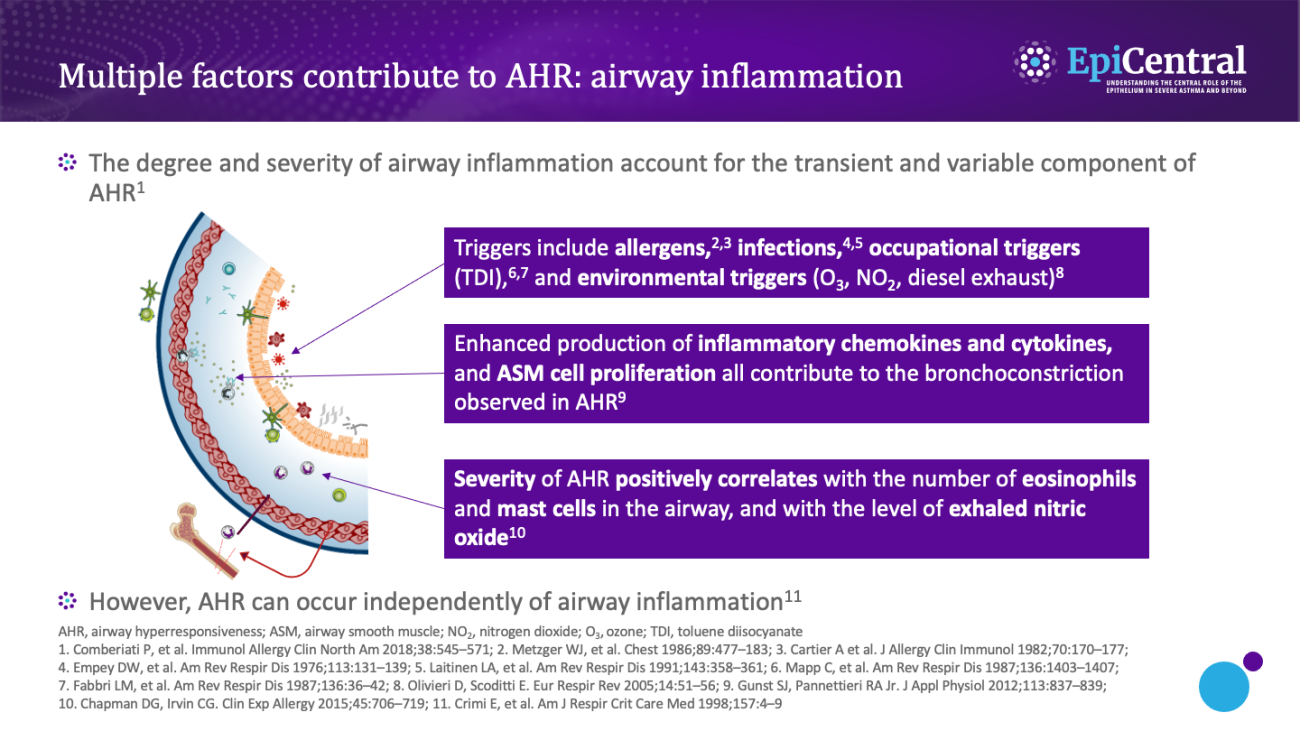 Airway inflammation, the transient component of airway hyperresponsiveness