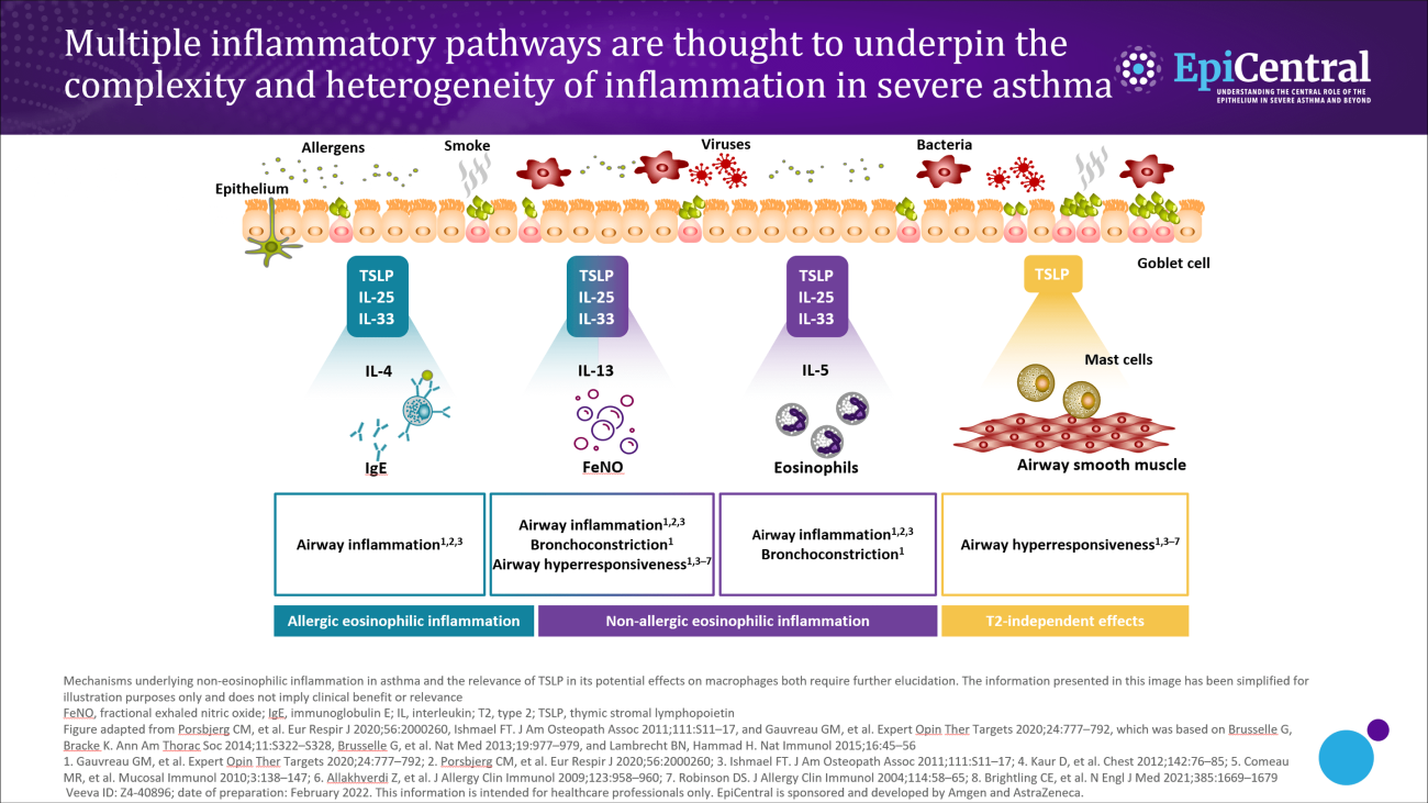 Epicentral Inflammatory pathways