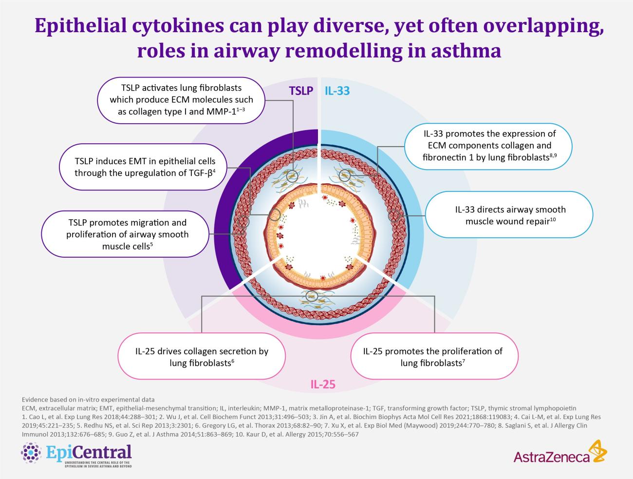 Remodelling - Role of epithelial cytokines infographic