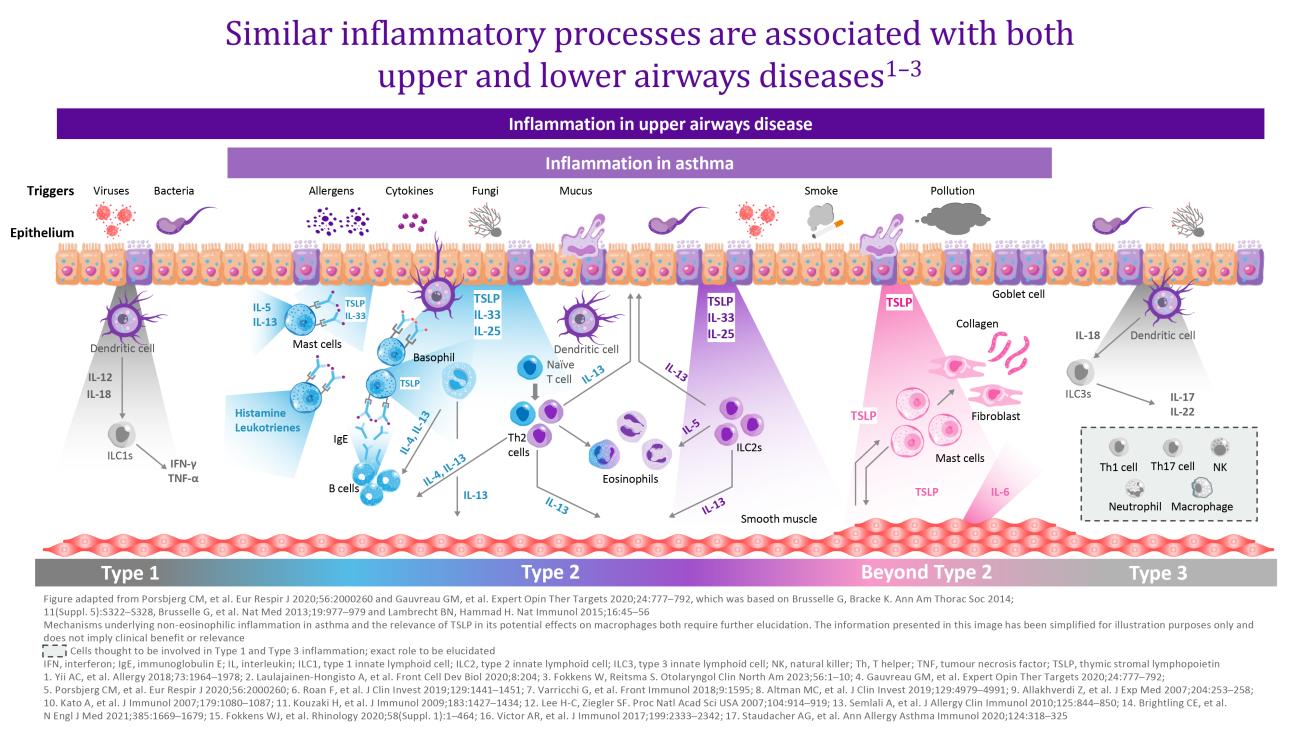 UAD inflammatory cascade infographic