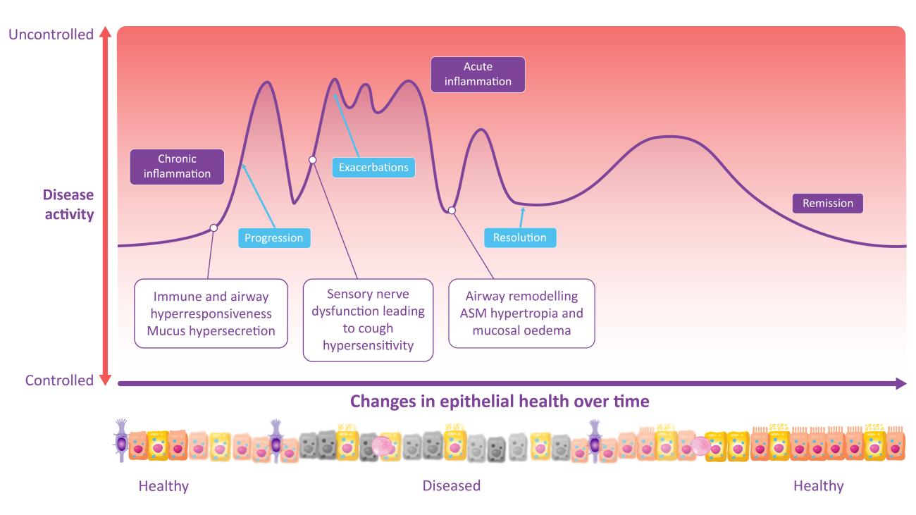 Effect of intervention on the clinical presentation of remission in asthma.