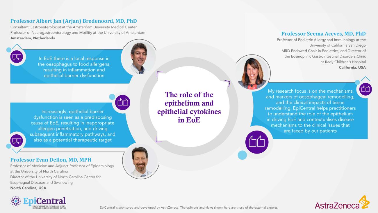 Expert quotes explaining the clinical relevance of the epithelium and epithelial cytokines in EoE